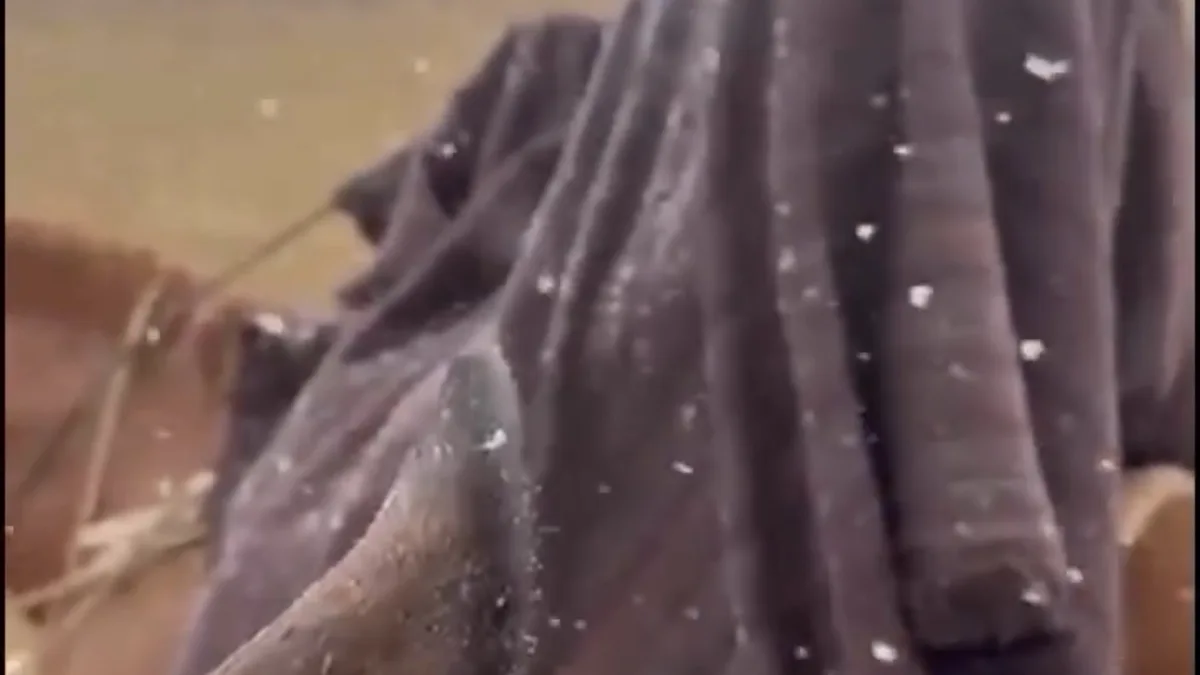 Neve é registrada na Serra Gaúcha na tarde deste domingo