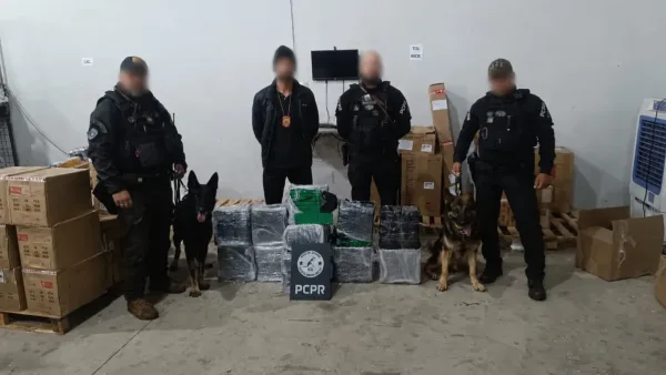 Polícia Civil apreende mais de 150 quilos de maconha em transportadora de Cascavel