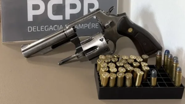 Homem é preso com arma de uso restrito durante operação da Polícia Civil em Ampére