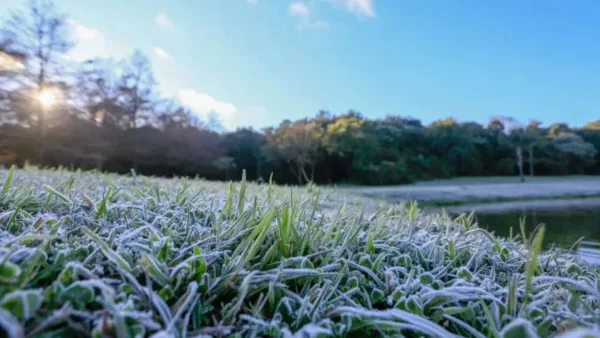 Francisco Beltrão amanhece com 0,2°C e entra para a lista das cidades mais frias do Paraná