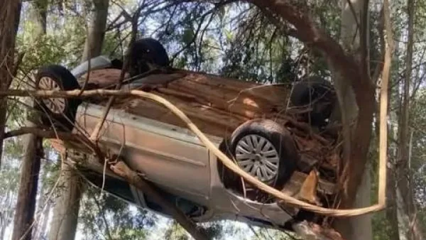 Carro fica pendurado em árvore após acidente na PR-542 entre Colorado e Itaguajé