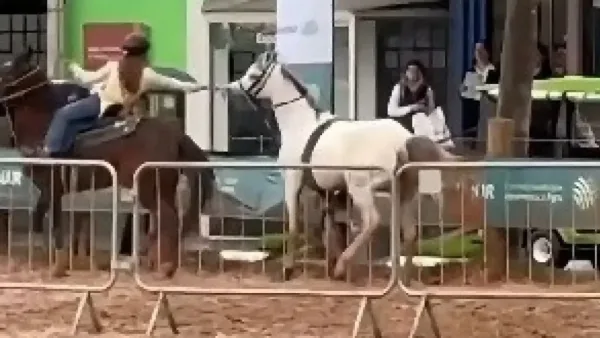 Menina de 12 anos controla cavalo desgovernado durante Expointer no RS