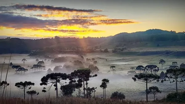 Serra de SC registra -4,5°C e amanhece com geada; Lages chega a 2,5°C